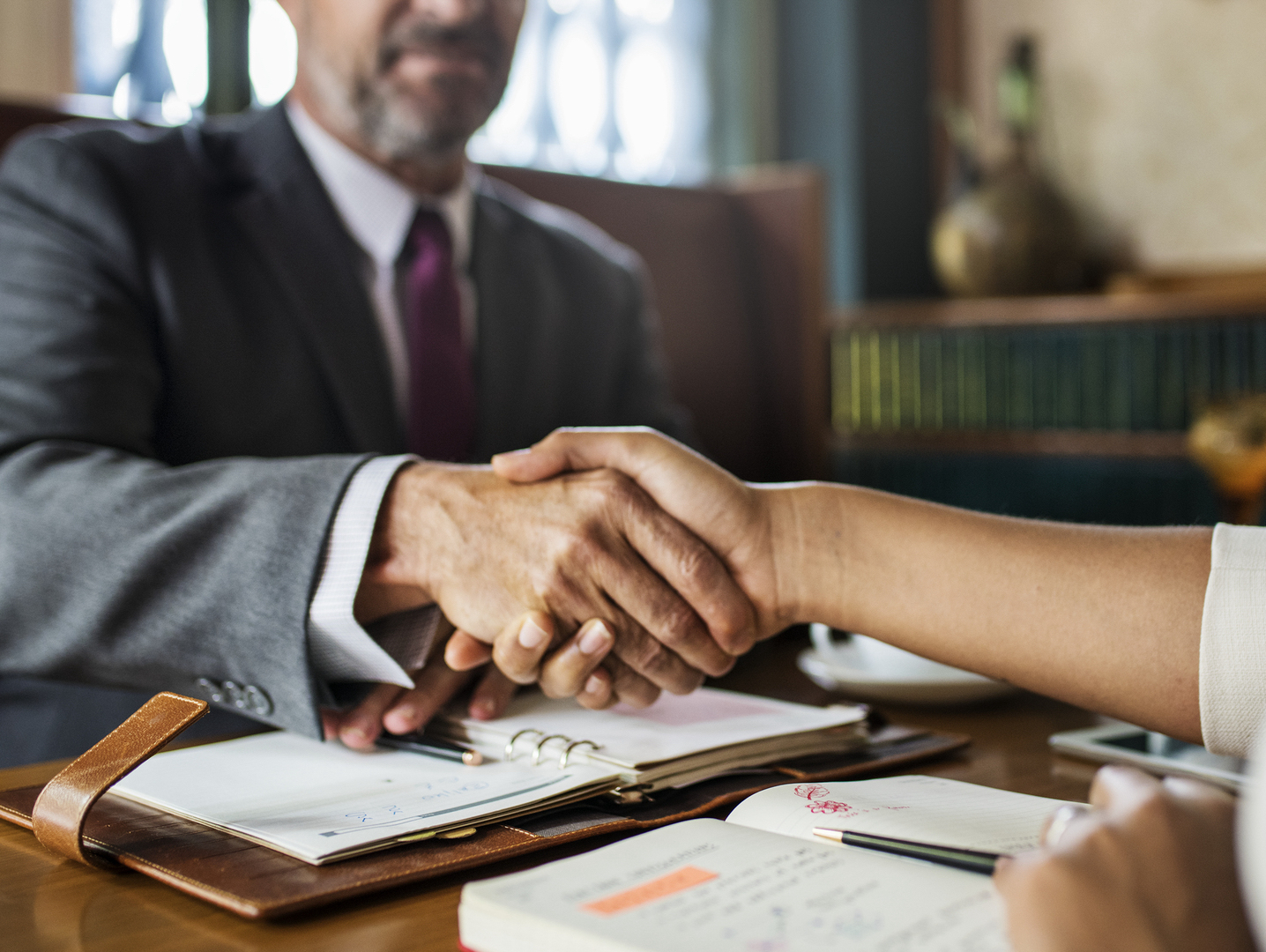 Two persons handshaking as a sign of agreement